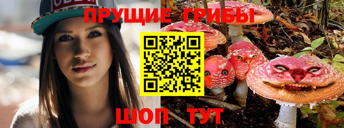 наркотики  Галлюциногенные грибы Psilocybine cubensis  Вход с VPN  Заречный 